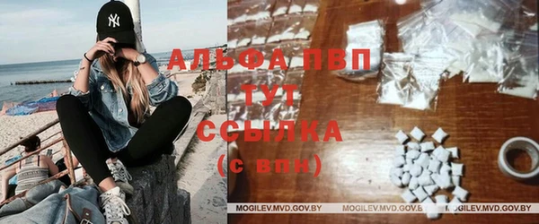 мдпв Богородск
